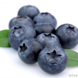 Pu&ograve; includere: Un gruppo di mirtilli freschi, rotondi e blu scuro con una buccia dalla consistenza liscia e opaca. Ogni bacca presenta un calice distintivo a forma di stella sulla parte superiore. Due foglie verdi ovali sono posizionate alla base.
