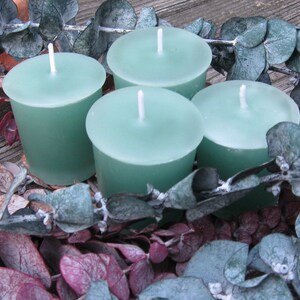 EUCALYPTUS 4 votives image 1