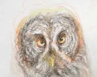 Great Gray Owl Art from Original Book Illustrations