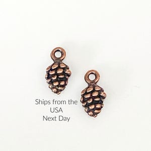 May include: Two small, bronze-colored pinecone charms. Each charm has a textured surface and a loop at the top for attaching to jewelry or other crafts. The charms are set against a white background.
