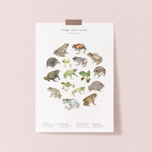 Frogs and toads postcard