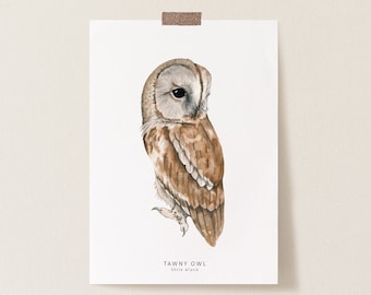 Tawny owl postcard