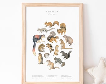 Squirrels illustration downloadable art print