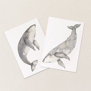 Humpback whale postcards - set of two