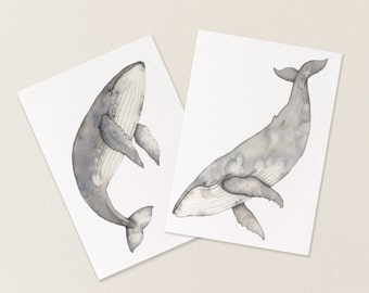 Humpback whale postcards - set of two