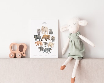Carte postale illustration ours