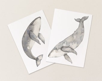 Humpback whale postcards - set of two