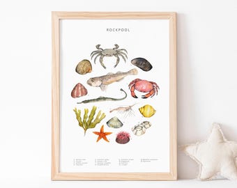 Rock pool wall art digital download