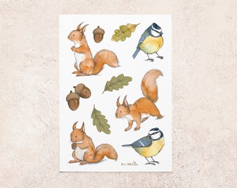 Squirrel and blue tit vinyl sticker sheet