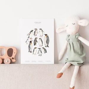 A postcard on a shelf alongside a wooden elephant and cuddly lamb. The postcard is white with 11 different penguin species forming an oval shape. They are watercolour illustrations.