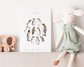 Carte postale illustration pingouin