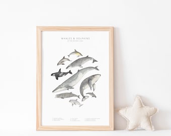 Whale and dolphin watercolour print