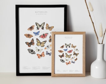 Watercolour butterfly print - natural history wall art