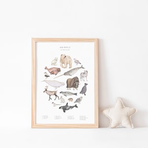 Arctic animals watercolour print