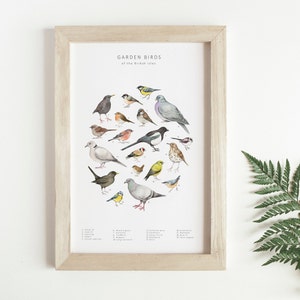 A wooden frame next to a fern leaf. Inside the frame a picture of familiar garden birds arranged into a circle and set on a white background. The birds are colourful watercolours with the words 'Garden birds' at the top of the print.