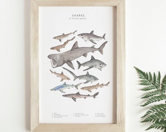 Watercolour shark print - animal wall art