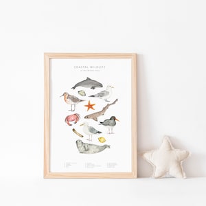 Seashore watercolour print - coastal animals