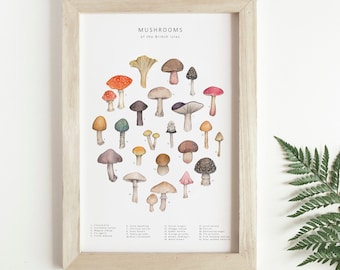 Mushrooms and toadstools watercolour print