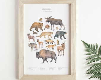 Animals of Yellowstone watercolour print