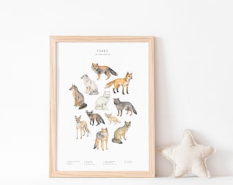 Foxes illustration watercolour print