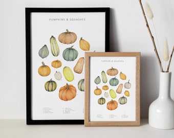 Pumpkin watercolour print