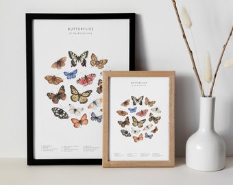 Watercolour butterfly print - natural history wall art