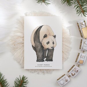 A large postcard on a fluffy placemat next to a toy train. The postcard has a watercolour illustration of a giant panda on a white background.