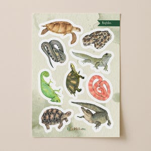May include: A sticker sheet with watercolour illustrations of reptiles, including a turtle, snake, lizard, and crocodile. The stickers are in shades of green, brown, and tan. The word "Reptiles" is printed on the top right corner.