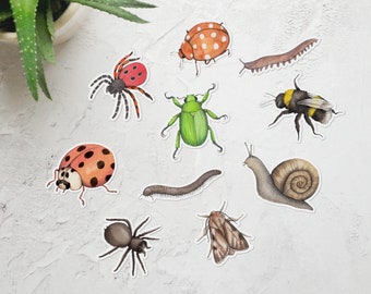 minibeasts toys
