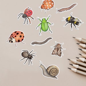 Minibeast animal stickers