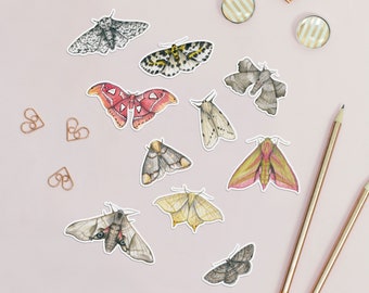 Moth animal stickers
