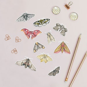 Ten different moth stickers on a desk next to some pencils. Each small sticker is a different illustration of a moth, cut to the shape of the animal with a narrow white border around it. They are all multicoloured.