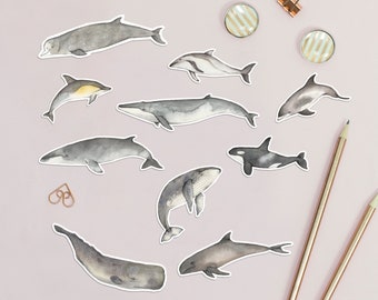 Whale and dolphin stickers