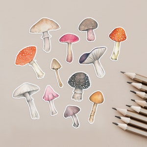 Stickers champignons et champignons