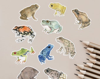 Frog animal paper stickers