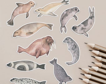 Animal stickers - seals