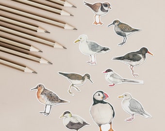 Stickers animaux - oiseaux côtiers