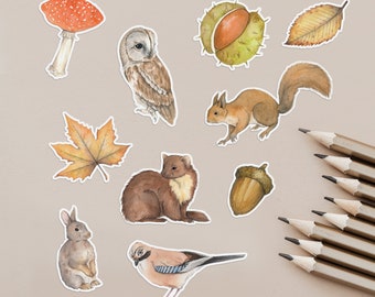 Woodland animal stickers set