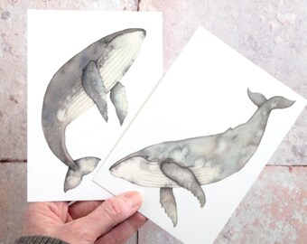 Bultrug walvis ansichtkaarten - set van twee