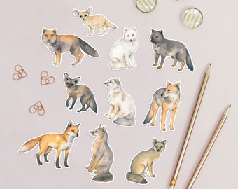 Fox illustration animal stickers