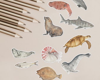 Sealife animal stickers