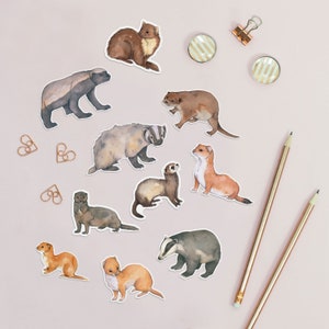 Animal stickers - weasels, badgers and otters