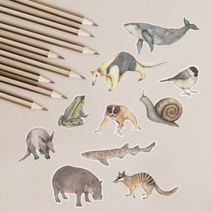 Pack d'autocollants animaux