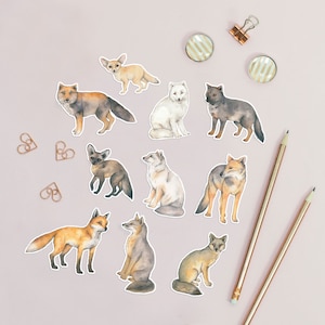Fox illustration animal stickers
