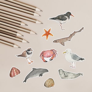 Animal stickers - seashore wildlife sticker pack