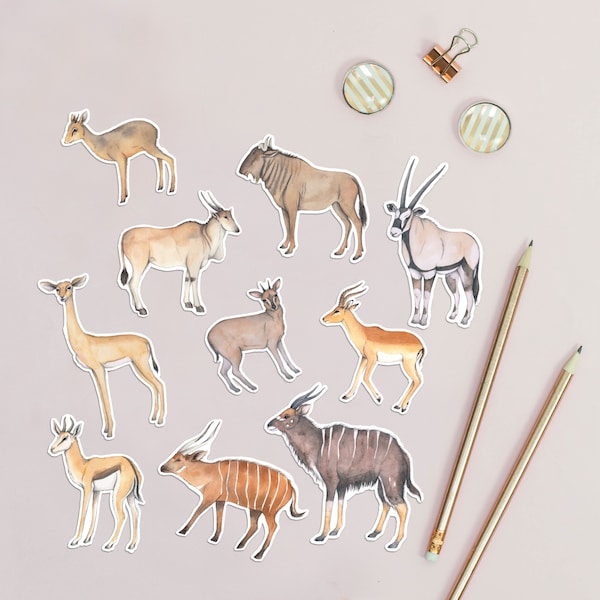 African antelope animal stickers