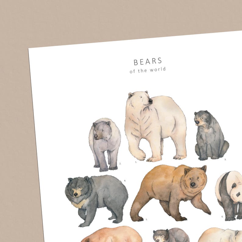 May include: A print featuring watercolor illustrations of various bear species, including polar bears, grizzly bears, and pandas. The title "BEARS of the world" is displayed in a simple font at the top of the print. The bears are depicted in natural colors.
