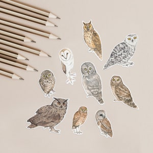 Pack d'autocollants hibou - illustrations d'oiseaux à l'aquarelle