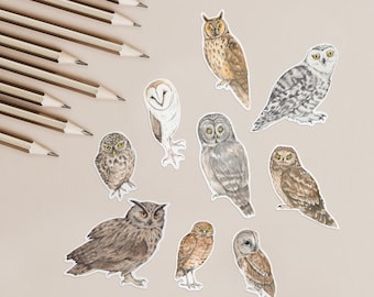 Owl sticker pack - watercolour bird illustrations