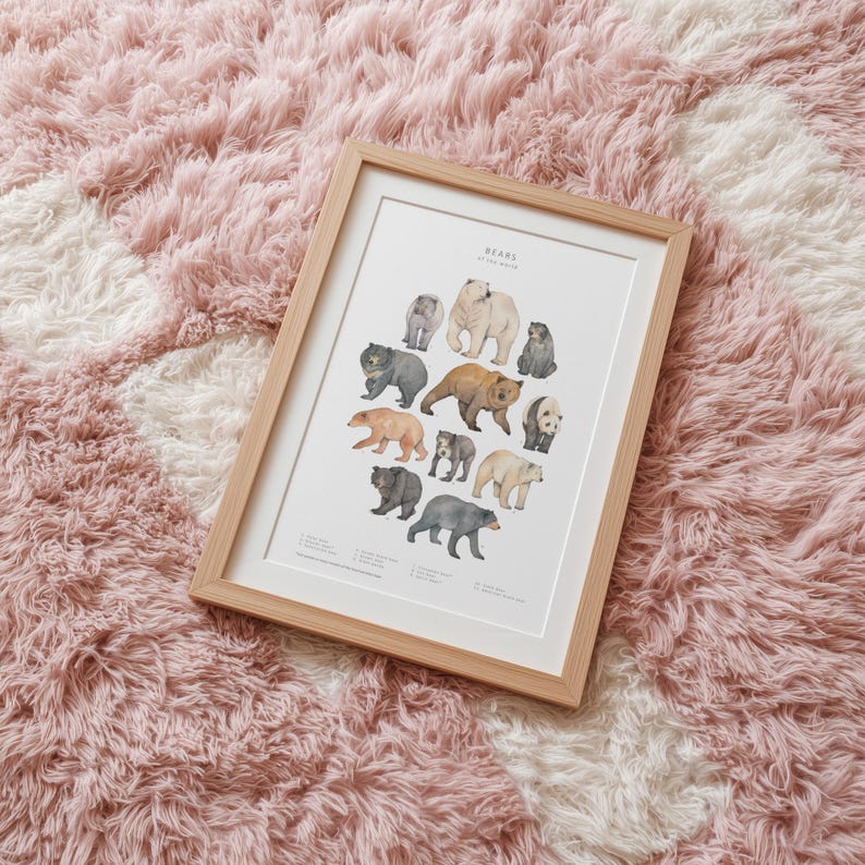 May include: A framed print titled "Bears of the World" featuring watercolor illustrations of various bear species. The artwork is displayed in a light wood frame and rests on a plush, pink and white patterned rug.